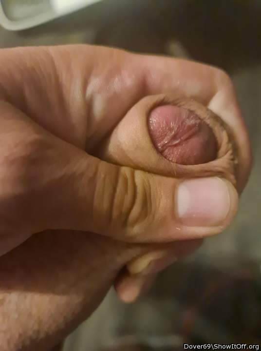 Photo of a dick from Dover69