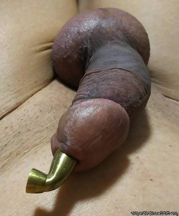 Photo of a cock from oldper69