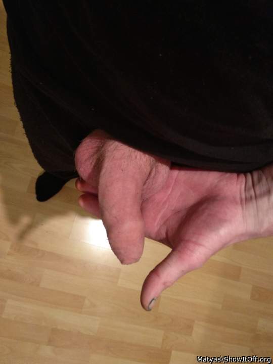 Photo of a third leg from Matyas