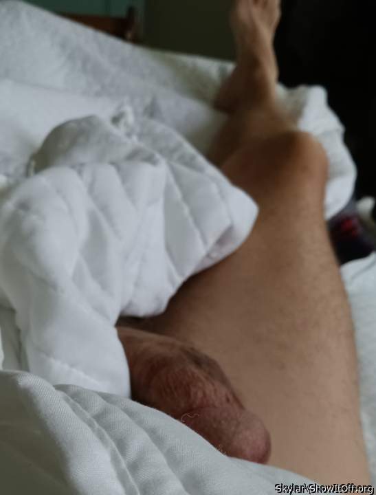 Morning Wood