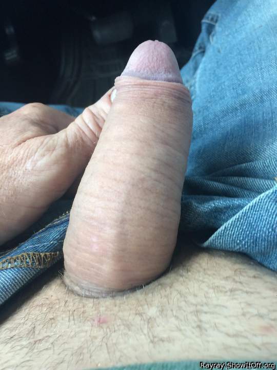 Photo of a weasel from Rayray