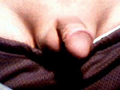 soft shaved
