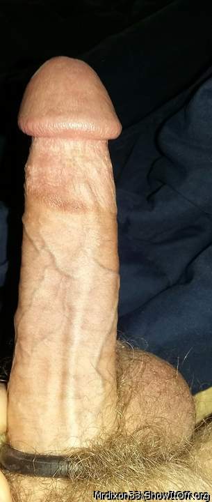 morning wood