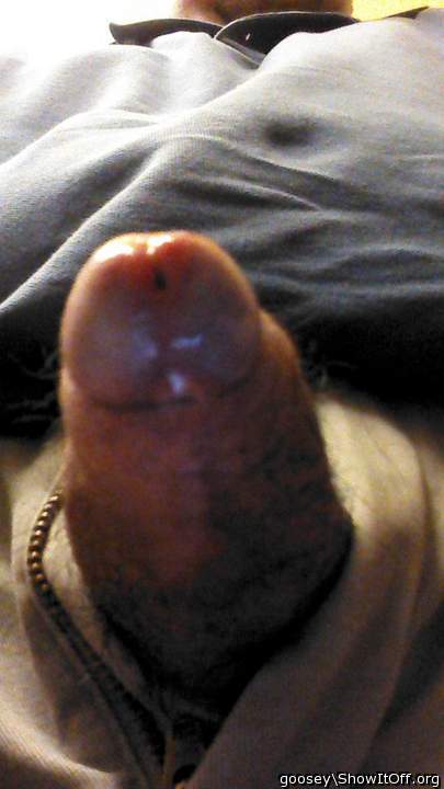 Photo of a wiener from Goosey