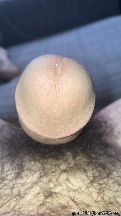 Photo of a bald-headed mouse from jimes104