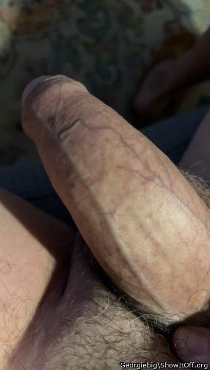 Photo of a ram rod from Georgiebig
