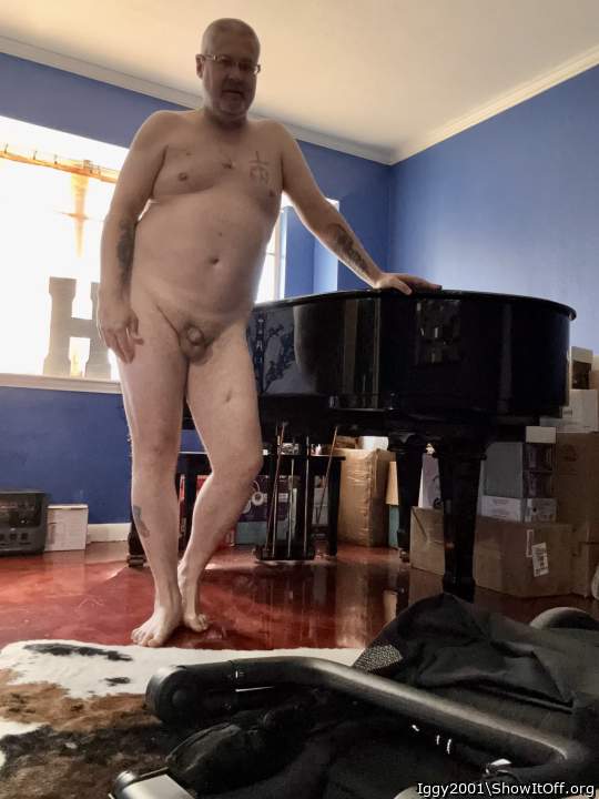 Photo of a cavalier from Iggy2001