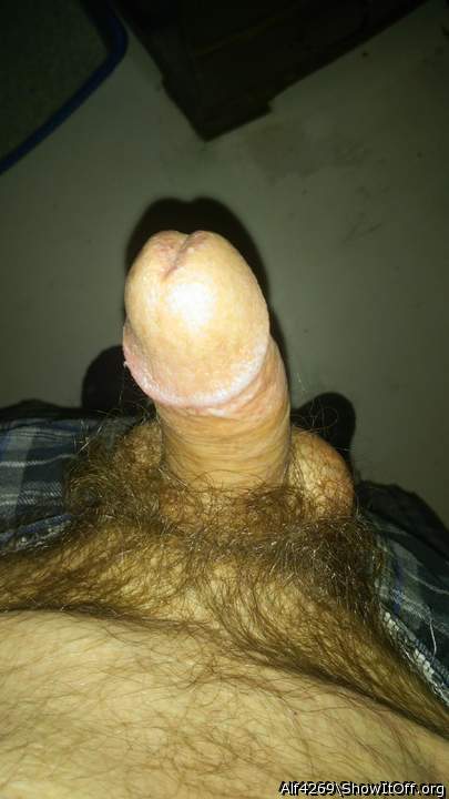 Photo of a pecker from Alf4269