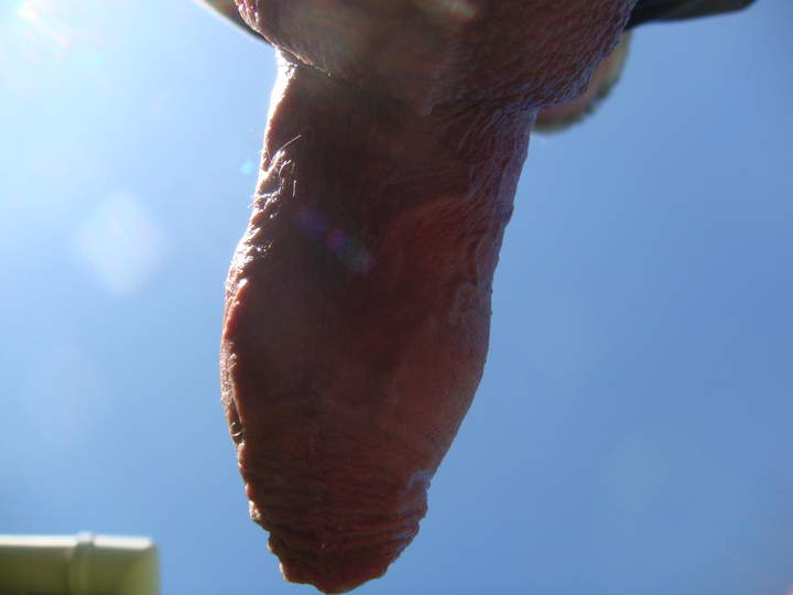 Photo of a hot dog from sivad666