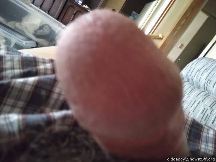 Photo of a drain pipe from olddaddy