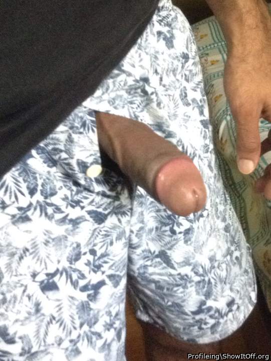 Photo of a middle leg from Profileing
