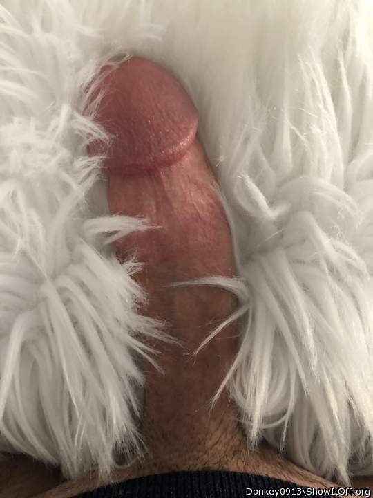 A donkey in sheep's clothing - beware!