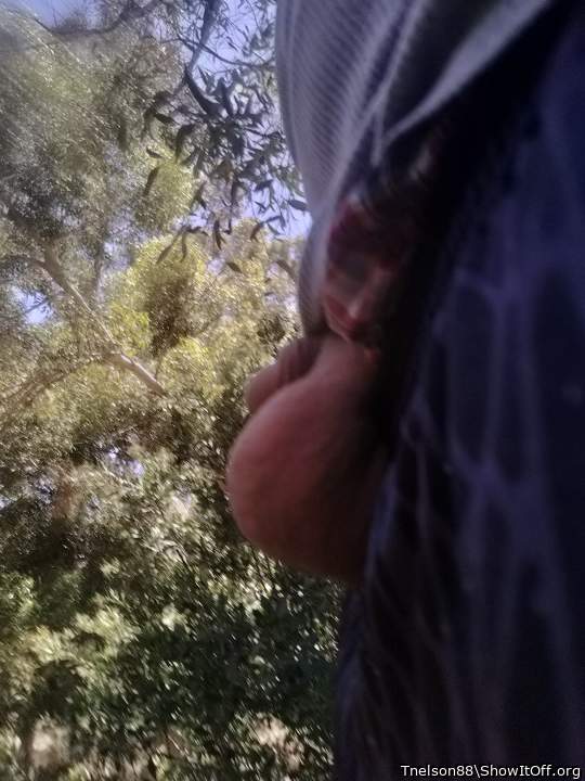 Photo of a bald-headed mouse from Tnelson88