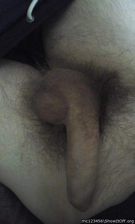 Photo of a middle leg from mc123456