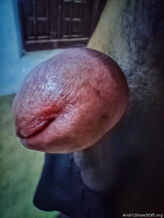 Gorgeous cock head ! 