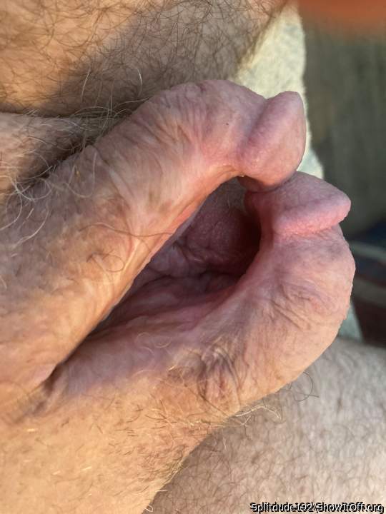 Photo of a rooster from Splitdude192
