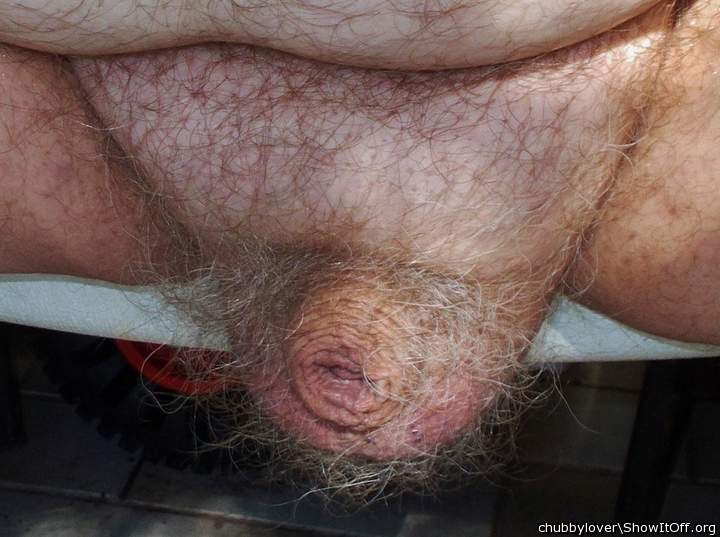 short and hidden under foreskin