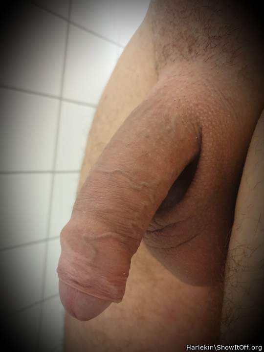 one awesome dick