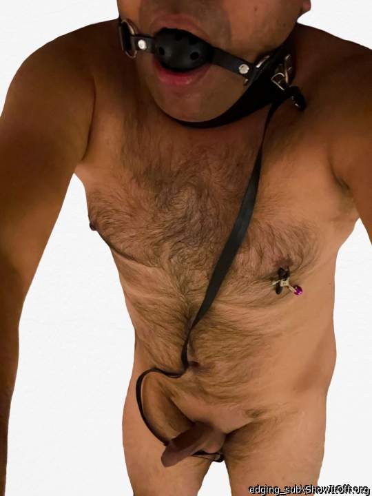 Stripped and gagged