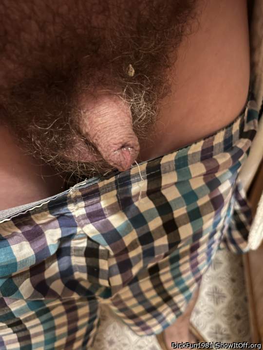 I like how your thick bush displays your dick.