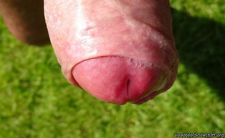 Photo of a power tool from sivad666
