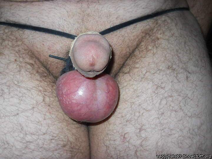Balls n cock - [6-13-13-31]