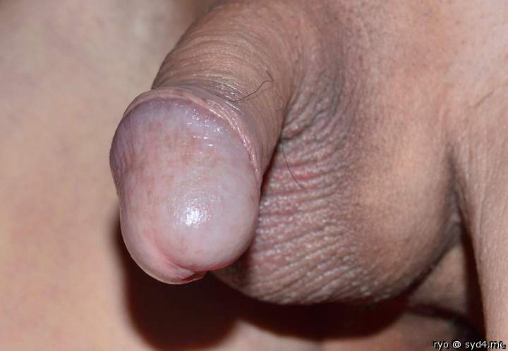 Photo of a horn from ryo
