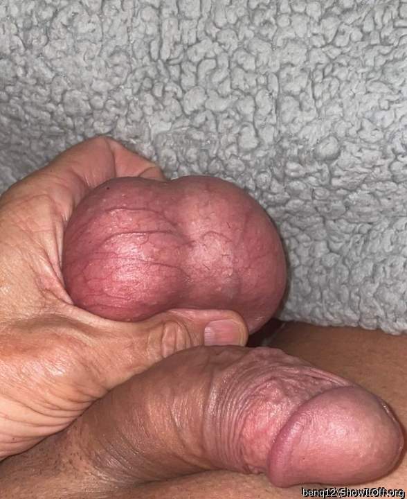 Testicles Photo from benq12