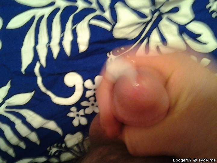 Photo of a hot dog from booger69
