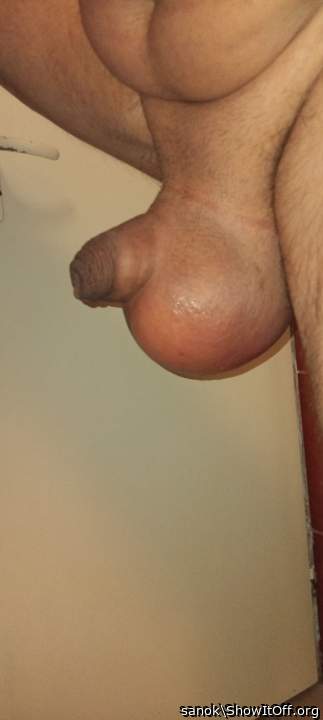 Testicles Photo from sanok