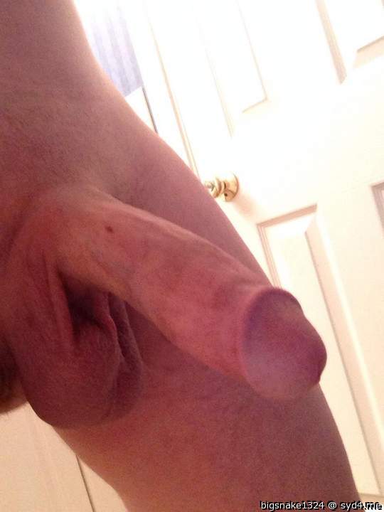   I have died and gone to cock heaven.   