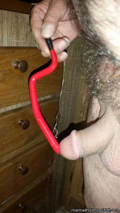 Into the bladder