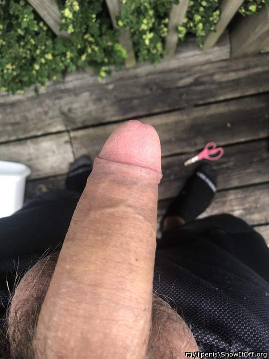 Enjoying the weather outside