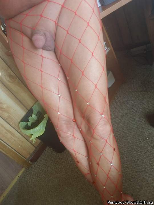 Photo of a python from Pantyboy