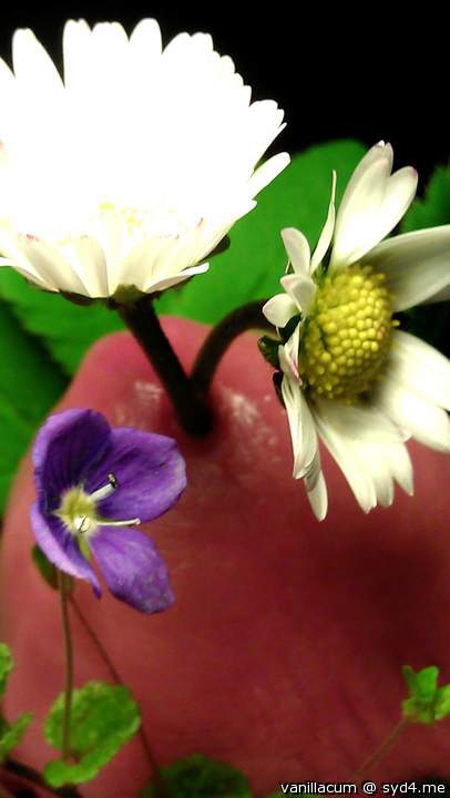 Springtime
