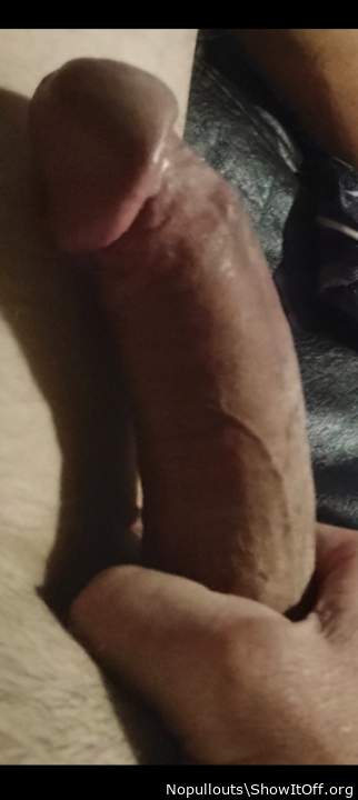 Photo of a equipment from Nopullouts