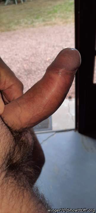 Photo of a pecker from winger70