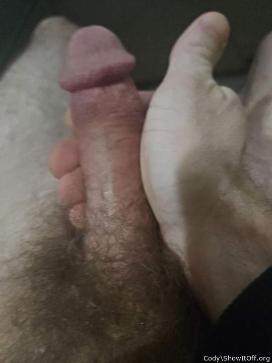 Photo of a pecker from Cody