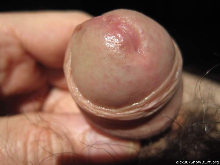Photo of a boner from Dick88