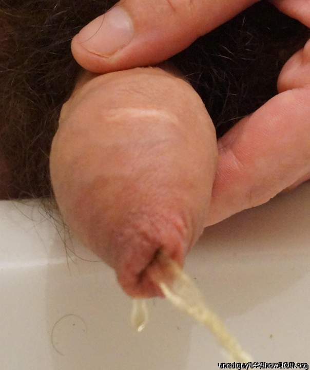 Photo of a bald-headed mouse from uncutguy84