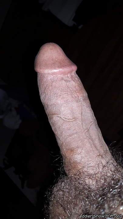 Photo of a bat from eddier
