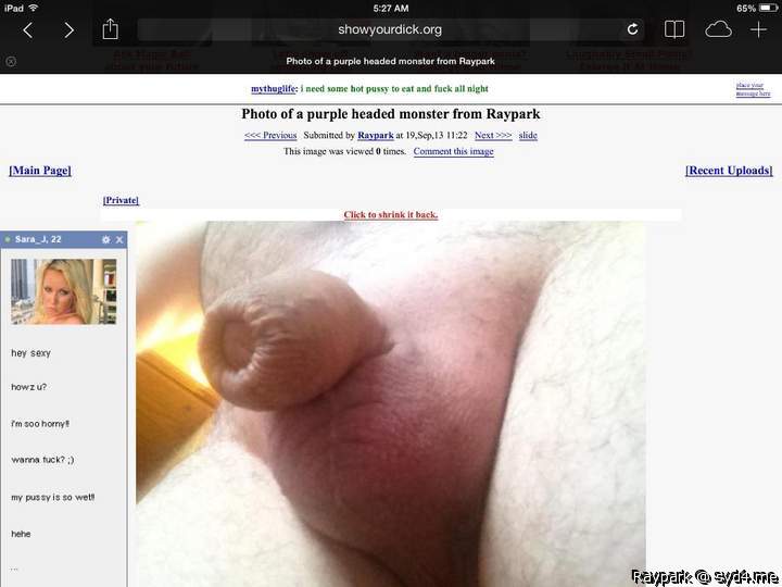 Photo of a lizard from Raypark
