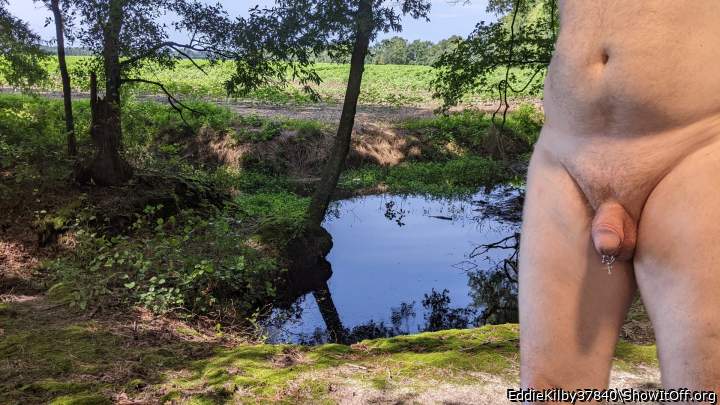 Photo of a phallus from EddieKilby37840