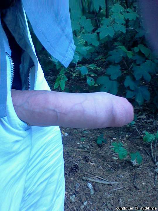 Photo of a horn from cuntlover