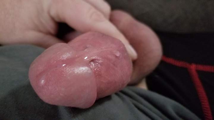 Photo of a pecker from box72