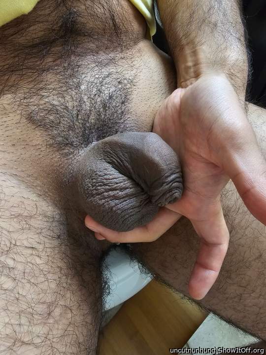 Photo of a dong from uncutnunhung