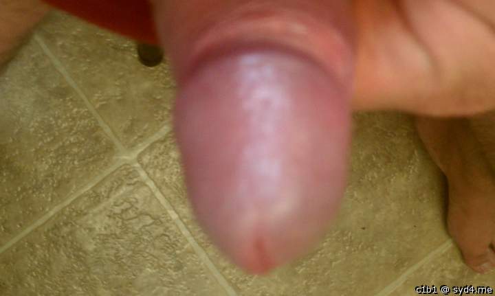 Photo of a bald-headed mouse from c1b1