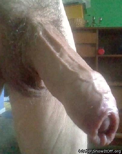 Wonderful view of your hooded cock, with the glans just peek