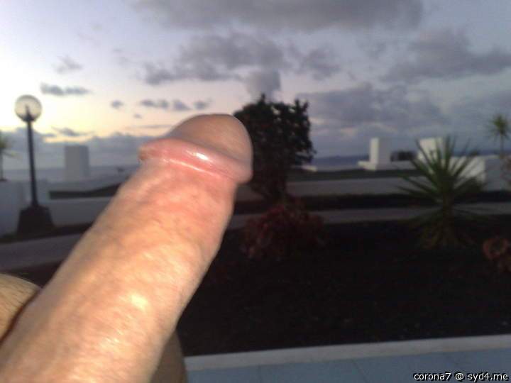 Photo of a lizard from corona7