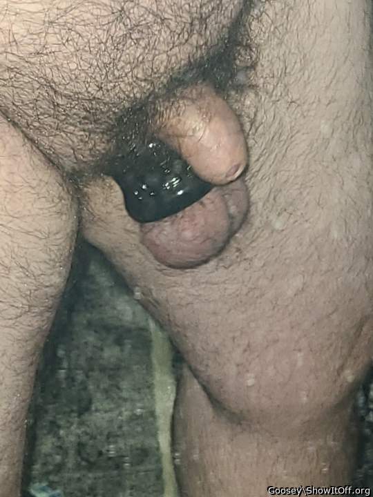 Testicles Photo from Goosey